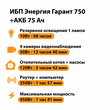 ИБП для котла Энергия Гарант 750 + Аккумулятор 75 Ач 12 В (450Вт - 91мин) - ИБП и АКБ - ИБП для котлов - . Магазин оборудования для автономного и резервного электропитания Ekosolar.ru в Солнечногорске